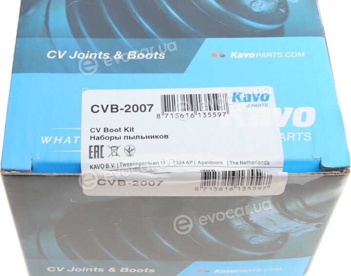 Kavo CVB-2007