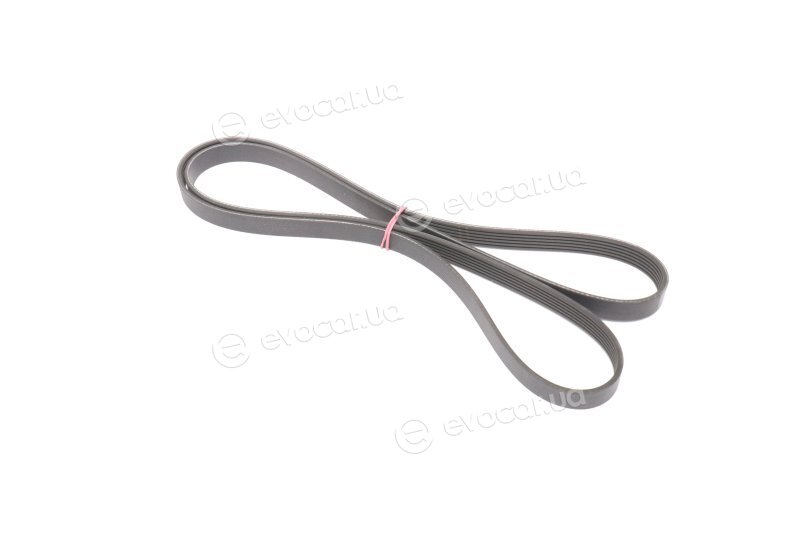 Gates 6PK1903