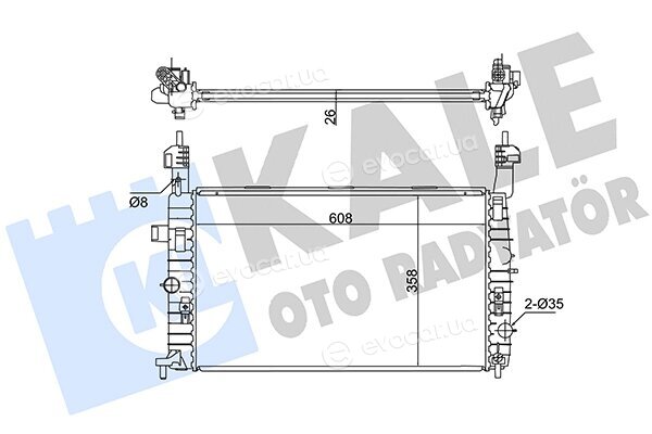 Kale 342065