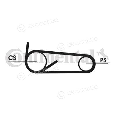 Continental 4PK922 ELAST T1