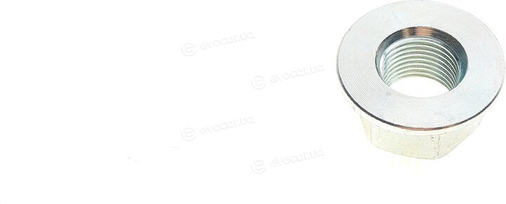 Solgy 216184
