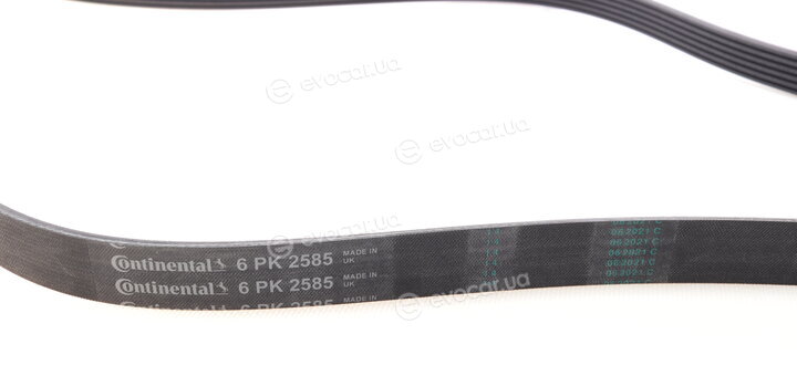 Continental 6PK2585