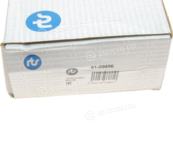 RTS 91-09596