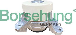 Borsehung B12655
