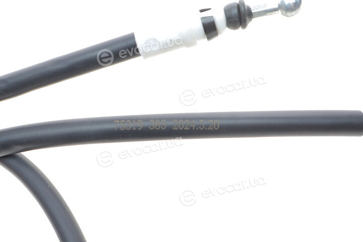 AIC 75319