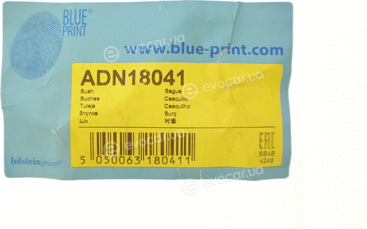 Blue Print ADN18041