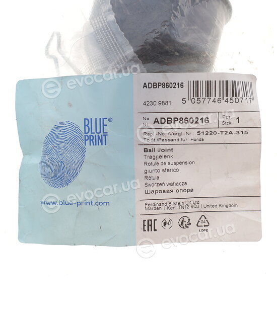 Blue Print ADBP860216