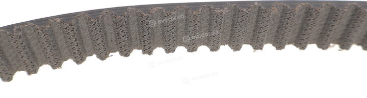Gates KP45565XS
