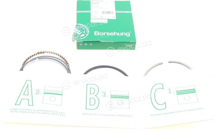 Borsehung B19036