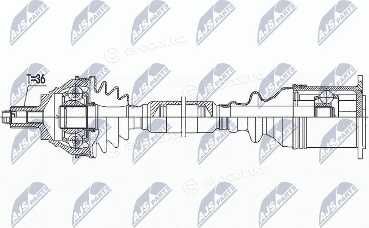 NTY NPW-VW-185