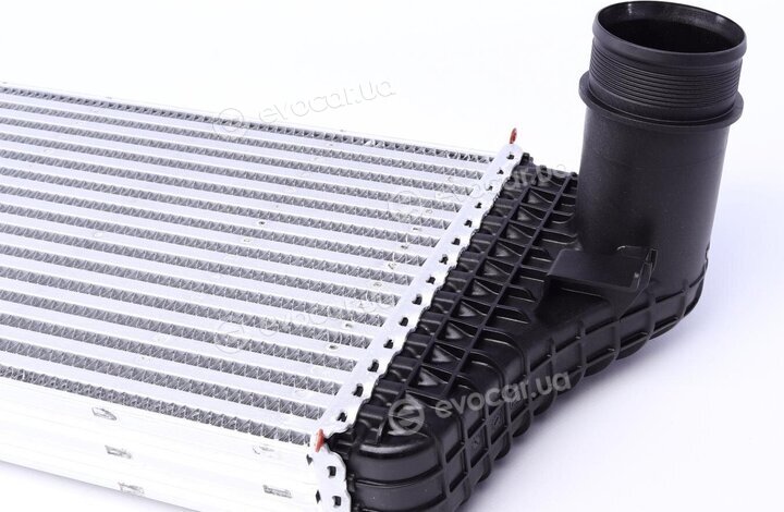Mahle CI 242 000P