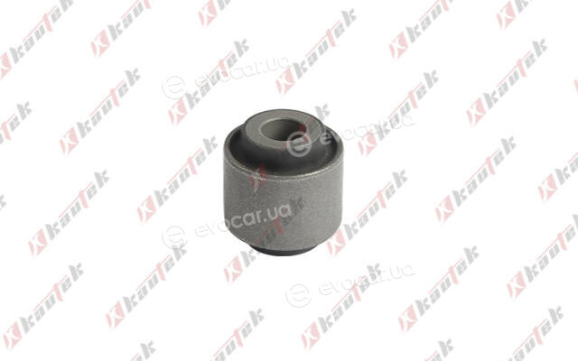 Kautek JG-BS022