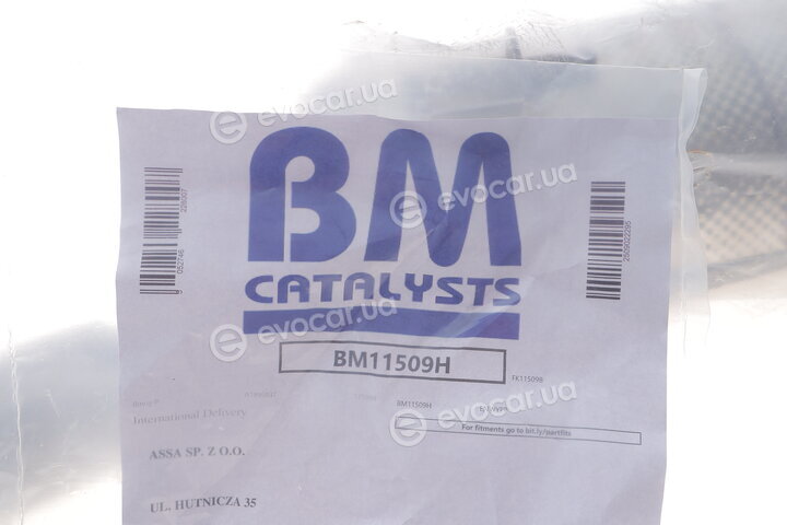 BM Catalysts BM11509H