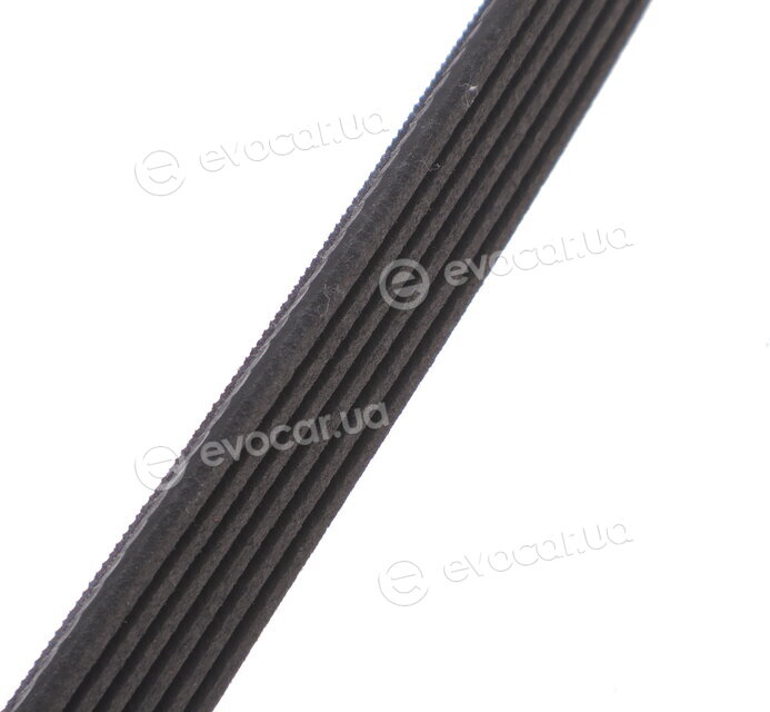 Gates 6PK1028