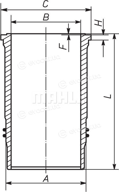 Mahle 037 WN 35 01