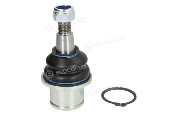 Reinhoch RH03-5009