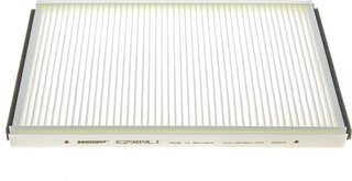 Hengst E2989LI