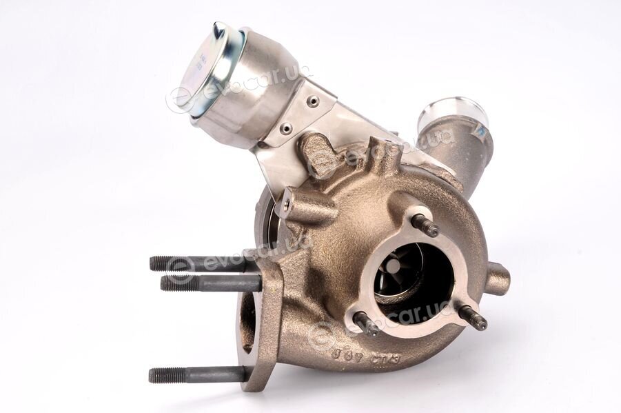 BorgWarner 53039880144