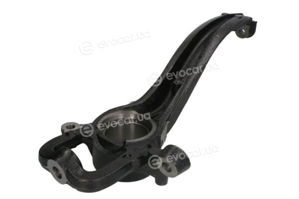 Reinhoch RH08-0066