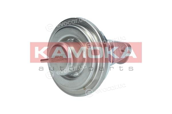 Kamoka 19012