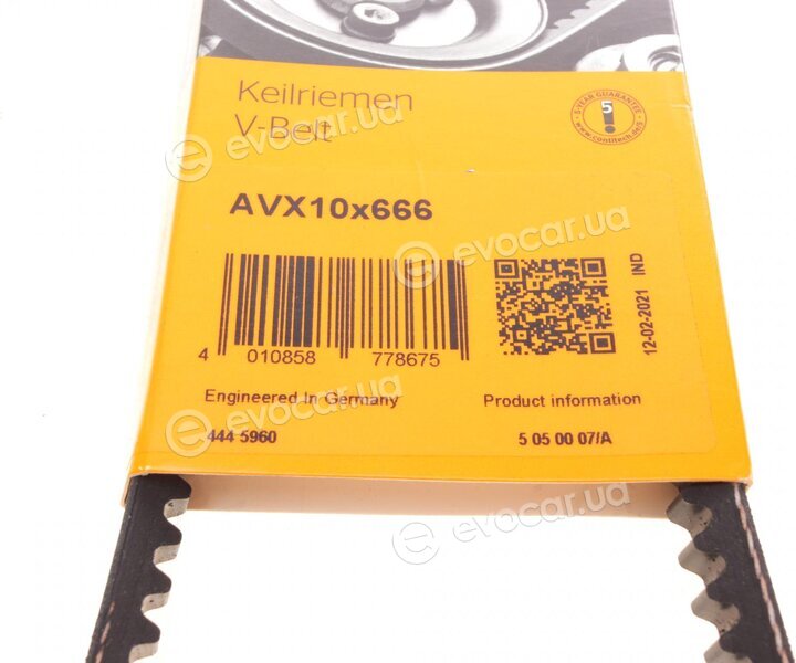 Continental AVX10X666