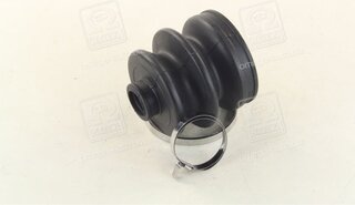 RBI D1731IZ