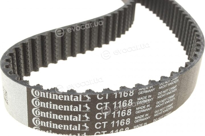 Continental CT1168WP1