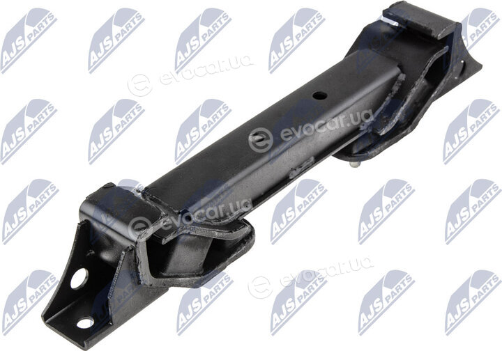 NTY ZPS-MS-012