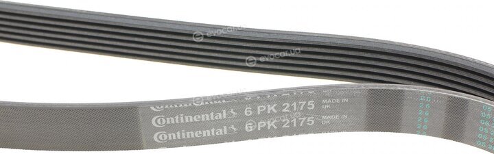 Continental 6PK2175