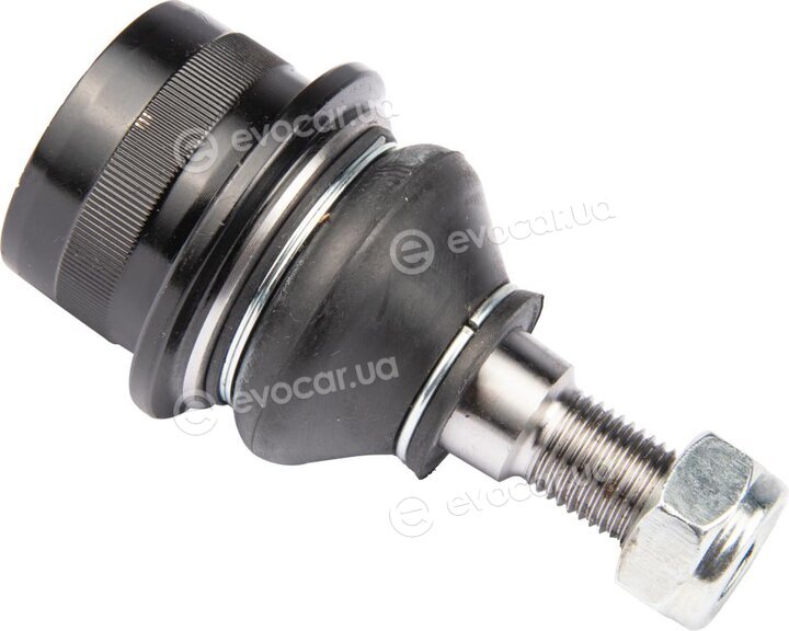 Raiso RL211205M