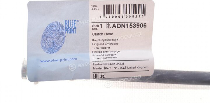 Blue Print ADN153906
