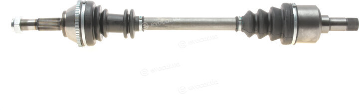 Magneti Marelli 302004190035