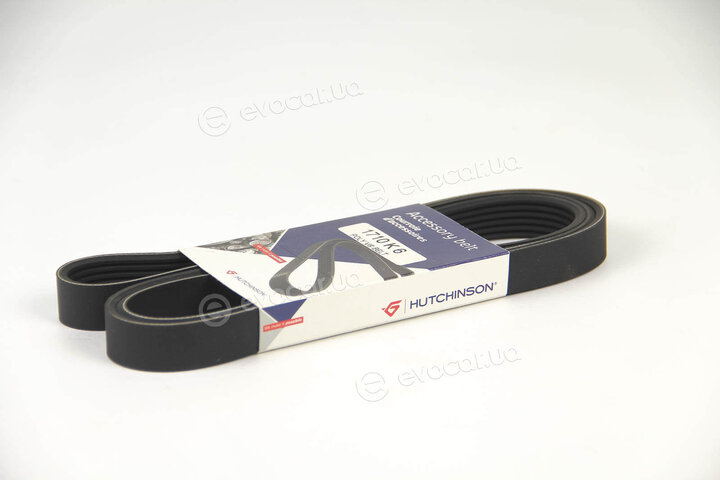 Hutchinson 1710 K 6