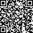ST-Templin 03.120.8700.170