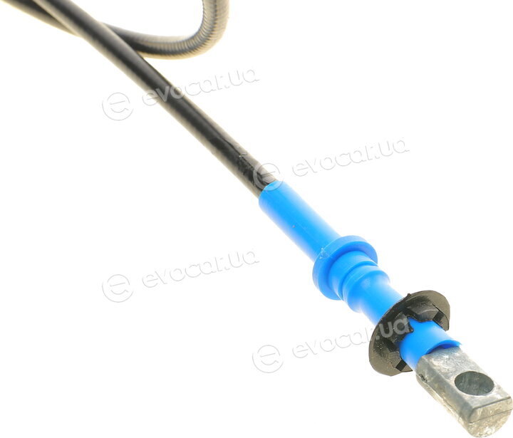 DP AC 3007 BNS