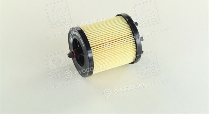 Champion COF100568E