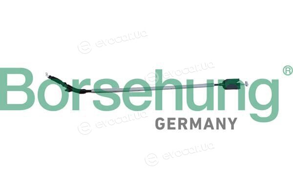 Borsehung B12339