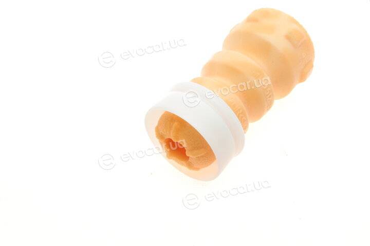 Borsehung B10017
