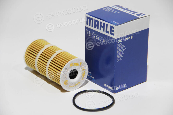 Mahle OX 389/1D