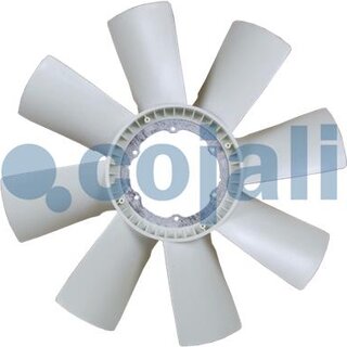 Cojali 7027123