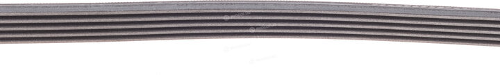 Continental 5PK1255