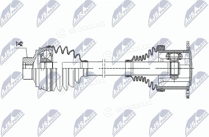 NTY NPW-AU-009