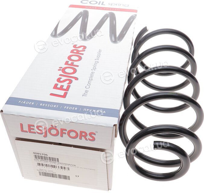 Lesjofors 4085706
