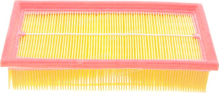 Solgy 103021