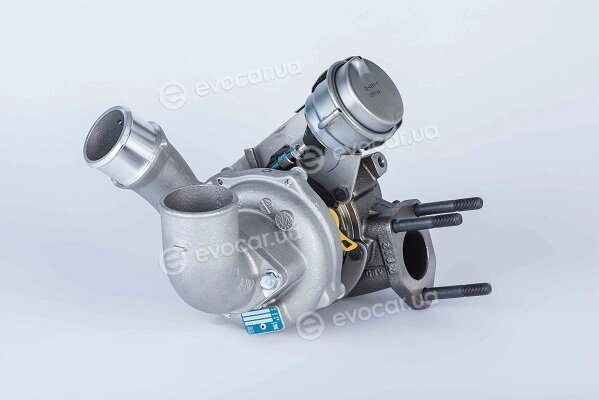 BorgWarner 53039880145