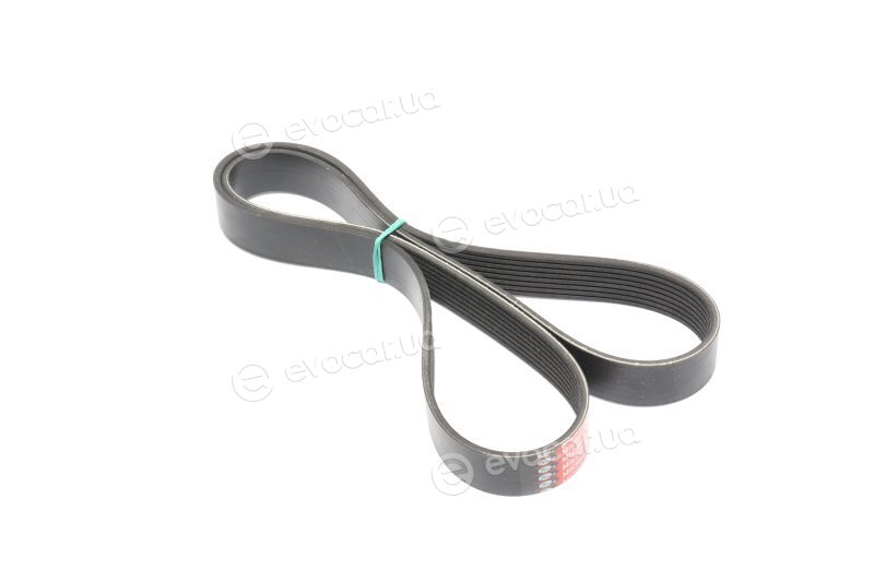 Gates 8PK1310XS