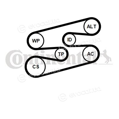 Continental 6PK1780K2