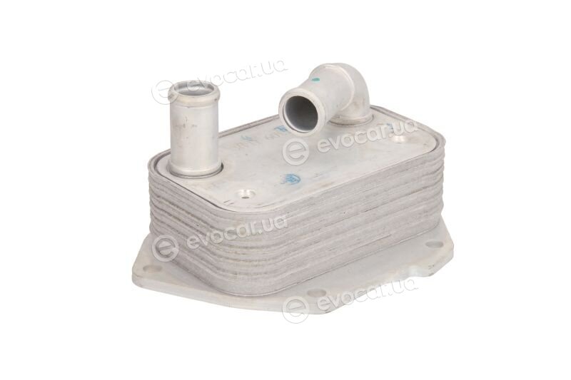 Thermotec D4C007TT