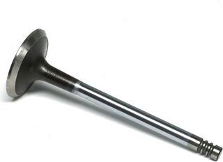 Gunes 1599