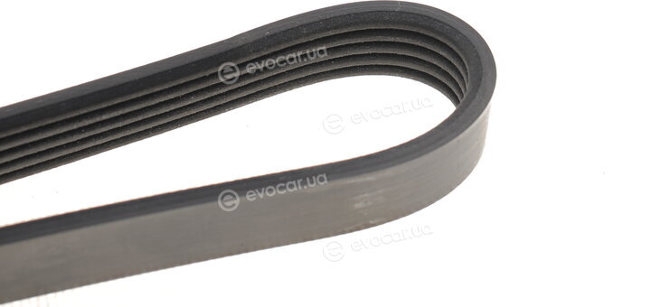 Dayco 5PK1720